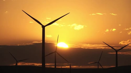 Windmills or Wind Turbine in Sunrise Light