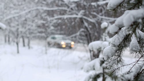 Ast und fallender Schnee