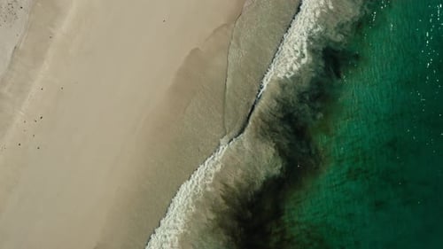 Ocean Waves