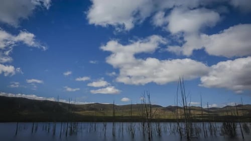 Wolken fliegen über Feuchtgebieten