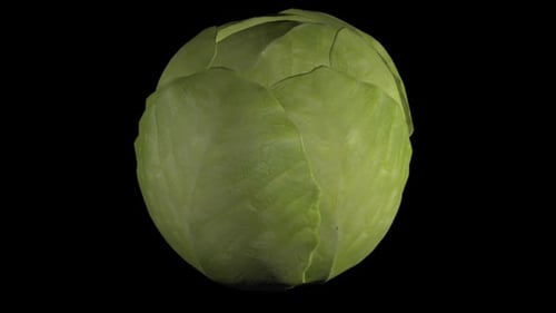 3D Realistic Green Cabbage Rotating Seamless Loop