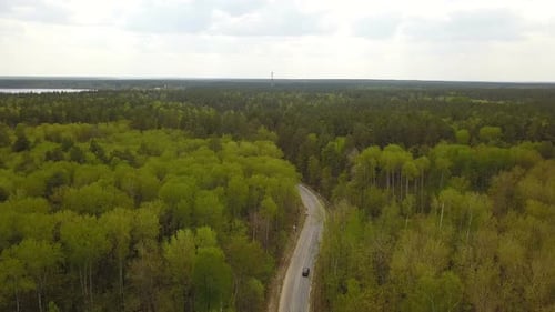 Waldstraße in der Nähe von
