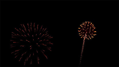 Colorful Fireworks Exploding in the Night Sky