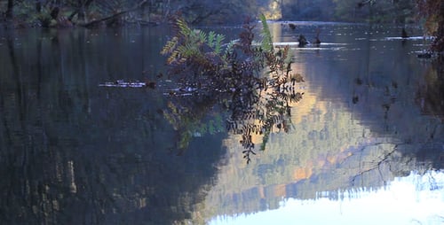 Wasseroberfläche 05