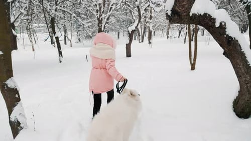 Girl and Dog Play in Snowy Winter Park