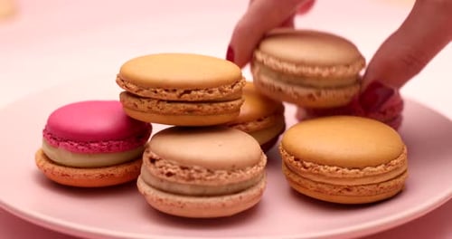 Pink macaroon