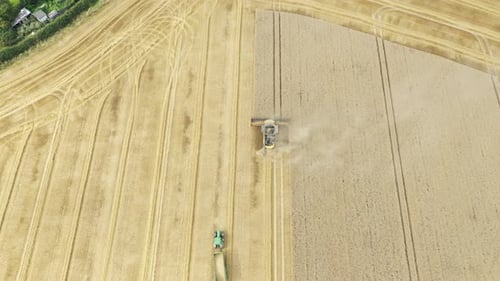 Aerial View of Combine Harvesting Wheat Field