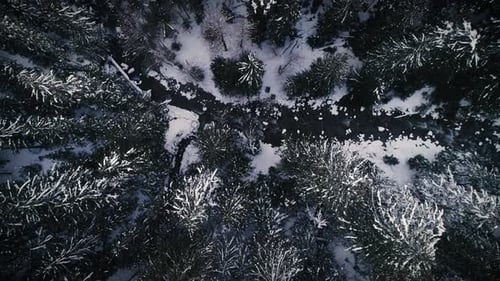 Moody Overhead Aerial Of Snowy Forest Wilderness With Cold Flowing River