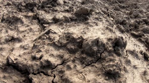 Gepflügtes Ackerland. Nahaufnahme eines schwarzen landwirtschaftlichen Feldes. Landwirtschaft Fruchtbares Land