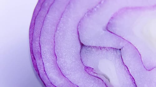 Close Up of Onion Texture Skin Rotate Background Texture of Red Onion
