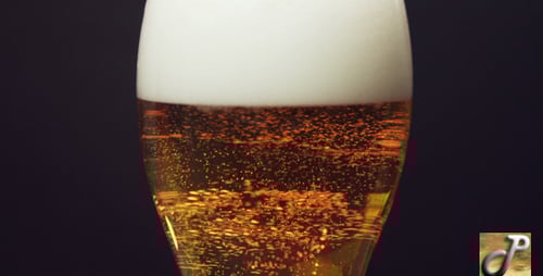 Refreshing Beer Bubbles in a Tall Glass