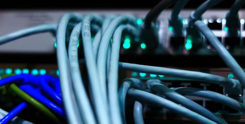 Network Cables Plugged into Switch in Data Center