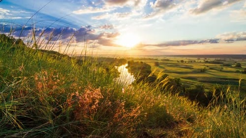Beautiful Sunny Sunset or Sunrise Countryside Landscape. Clouds of Small Insects Flying Over Green