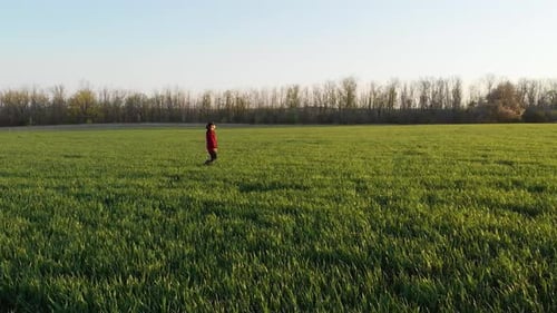 Farmer Girl Walking Beside Green Wheat Field Enjoying the Sun. Female Farmer in Plaid Shirt and Hat