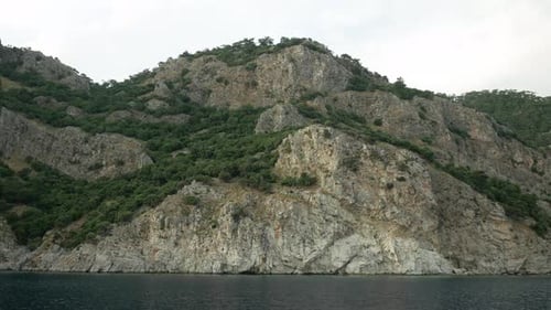 Different cliffs with green vegetation on the seashore