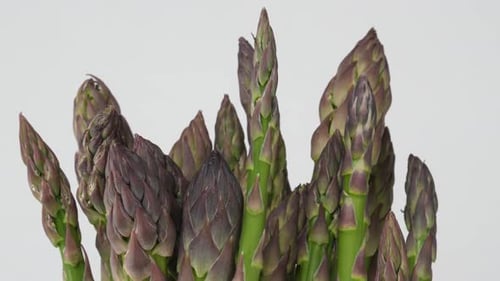 Spargel 38