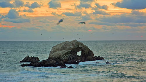 Seal Rocks
