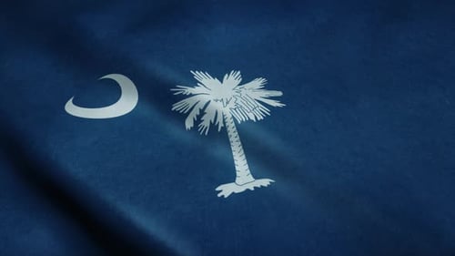 Waving South Carolina State Flag Seamless Loop