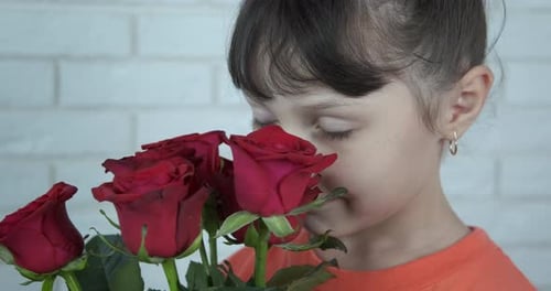 Child Smelling Bouquet of Dark Red Roses