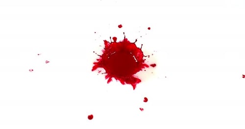 Blood Dripping against White Background, Slow Motion 4K