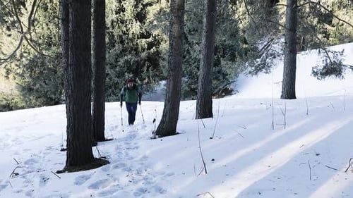 Man Hiker Walking in Mountain Forest Slow Motion