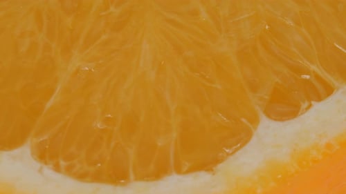Orange on a White Background