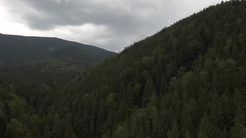 Rising up above a pine forest covering hills stretching out to the horison on a overcast day