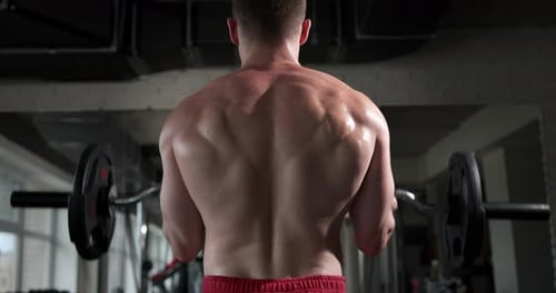 A young man in the gym, standing with his back, does an exercise for biceps, raising a barbell
