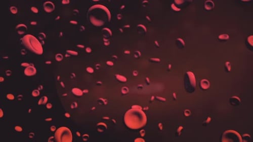3D Red Blood Cells Flowing Through Vein Medical Animation