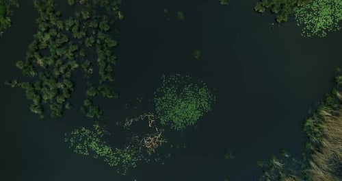 Camera moving above the marsh area.