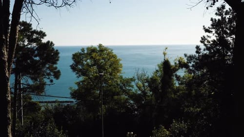 Drone Flying Through Trees on Hill To Reveal Epic Summer Mediterranean Sea Shore, Panning Down on
