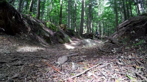 Woman riding unicycle in the forest 4k