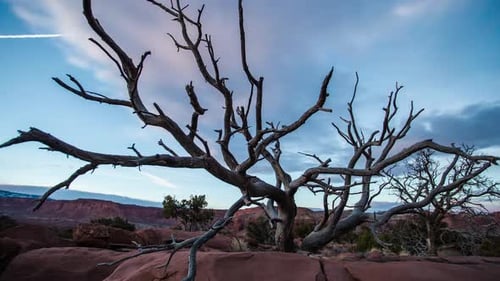 Zeitraffer von Tag zu Nacht in der Wüste von Utah.