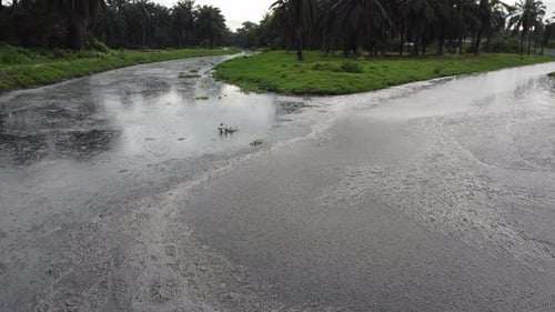 Fly over pig effluent in river