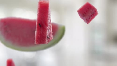 Dynamic Watermelon Slices and Whole Fruit Falling