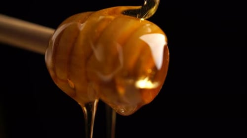 Honey Dripping from Dipper on Black Background