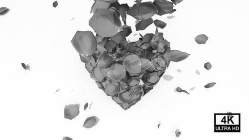 Rose Petals Heart Formation Animation