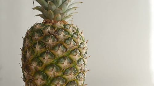 Fresh pineapple exotic fruit close-up 4K 2160p 30fps UltraHD tilting footage - Ananas comosus on wh