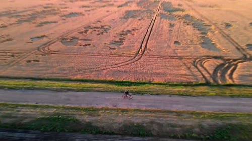 Un hombre al atardecer monta una bicicleta a lo largo de un campo de trigo amarillo y un campo verde.