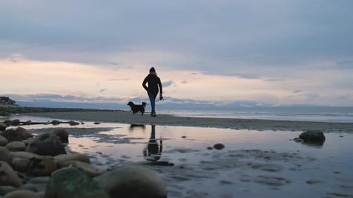 Woman Walking Dog on Beach at Sunset