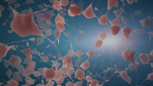 Neuronen senden pulsierende elektrische Impulse