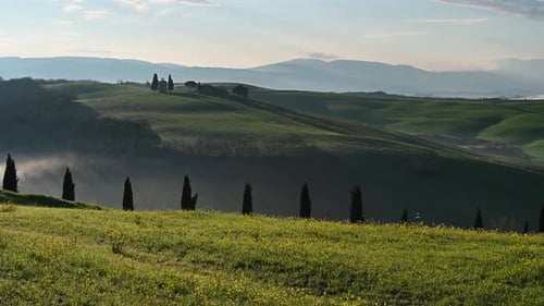 Spring Tuscany fields