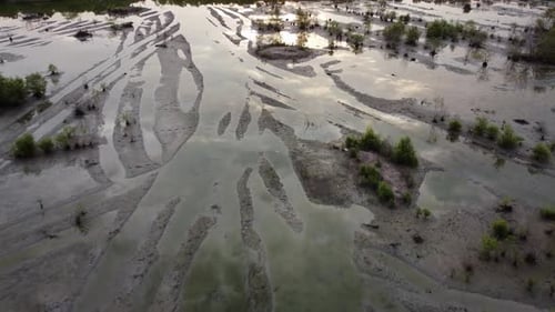 Aerial view tractor trail over the wetland for development