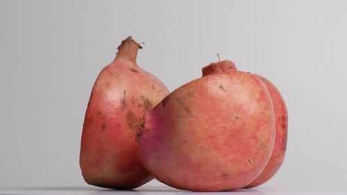 Granatapfel 38