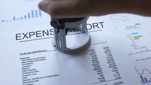 Expense Report Approved, Hand Stamping Seal on Official Document, Statistics