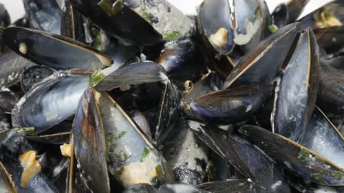 Bowl of common mussels after meal close-up 4K 2160p 30fps UltraHD tilting footage - Empty shells pi