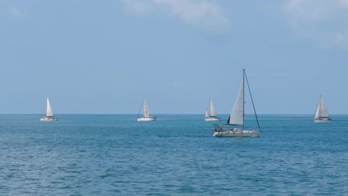 Sailboats Sailing on the Ocean on a Sunny Day