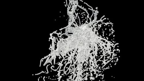 Milk Splash
