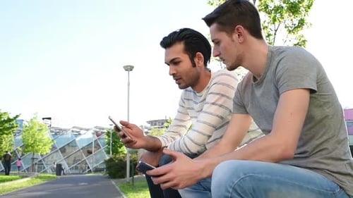 Friends Using Smartphones Outdoors on Sunny Day