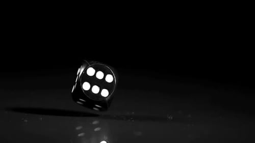 Single Die Rolling in Black and White
